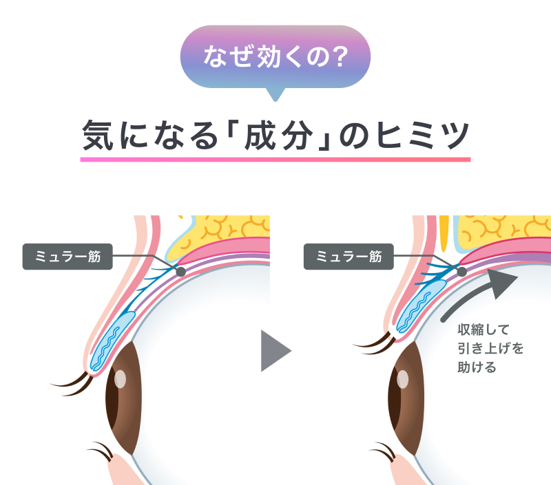 なぜ効くの？気になる成分のヒミツ