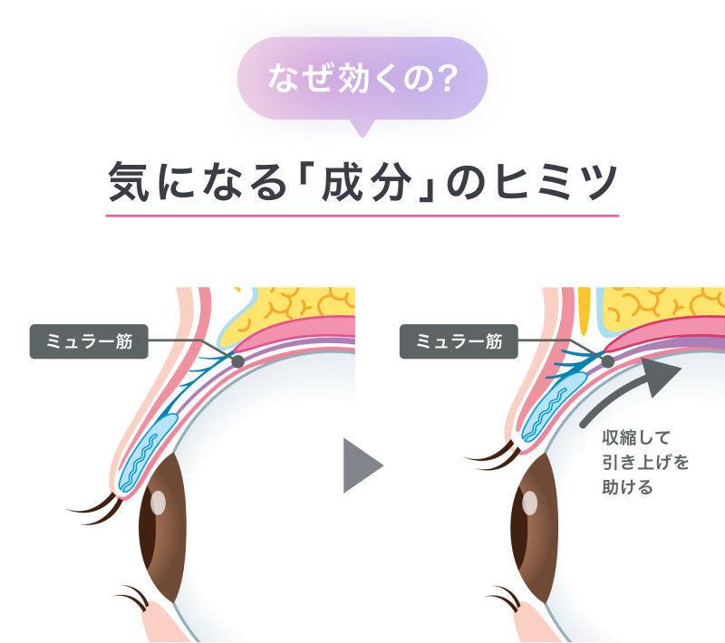 SBCアイブースター「湘南美容のデカ目薬」の通販｜楽天・湘南美容のお