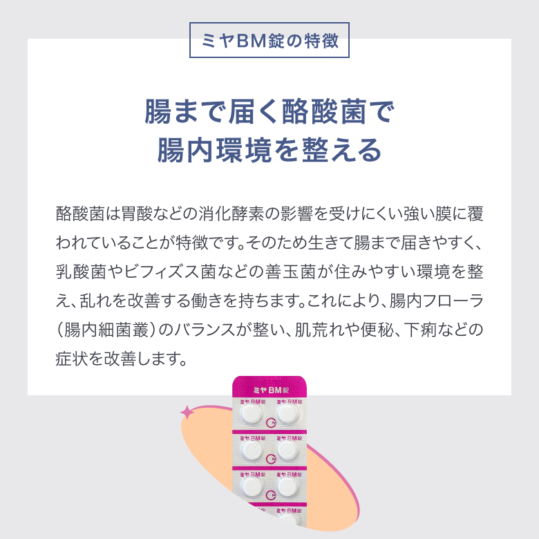 ミヤBM錠の効果③腸まで届く酪酸菌で腸内環境を整える